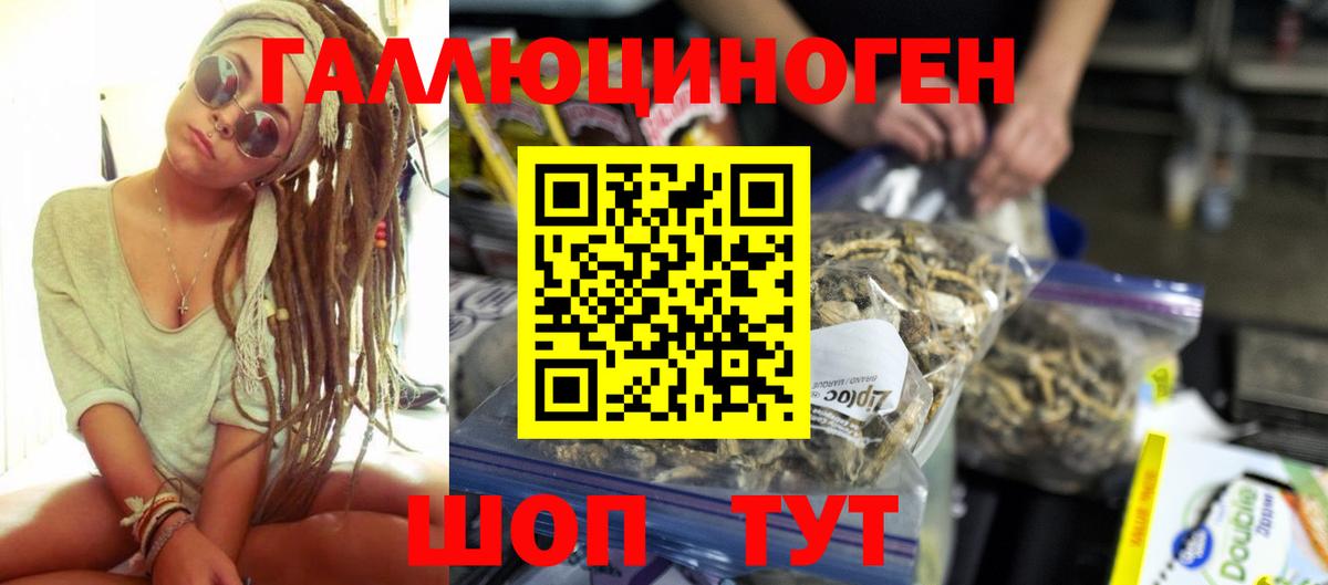 Кашира  Псилоцибиновые грибы MAGIC MUSHROOMS  Вход с VPN 